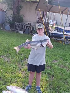 Striped bass caught while fishing in SC