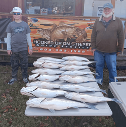 5 striped bass caught while fishing in SC