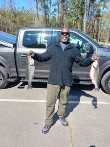 Two striped bass caught while fishing in SC
