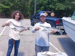 Two striped bass caught in SC
