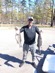 Striped Bass fishing in SC