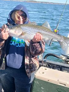 Striped bass fishing in South Carolina