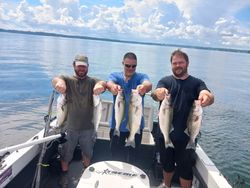 Three striped bass caught fishing in SC