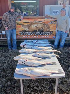 Two anglers with 3 striped bass fish caught in SC