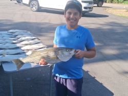 Striped bass fishing in Lexington