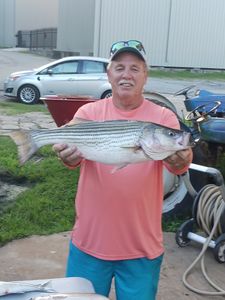 Caught a striped bass in Lexington