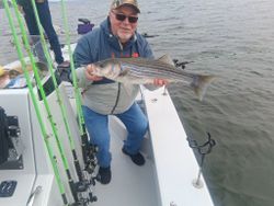 Striped bass caught while fishing in Lexington