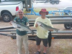 Two striped bass caught while fishing in Lexington