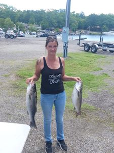 Two striped bass fish caught in Lexington