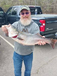 Striped bass caught while fishing in Lexington