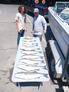 Four striped bass and redfish caught in Lexington