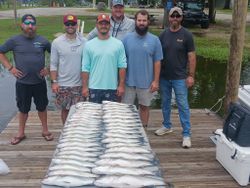 Striped bass caught in SC