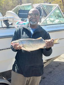 Striped bass caught fishing in SC