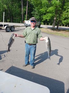 Two striped bass caught by angler in South Carolina