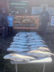 Great fishing in SC with 4 big fish caught