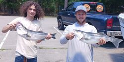 Two striped bass caught while fishing in Lexington