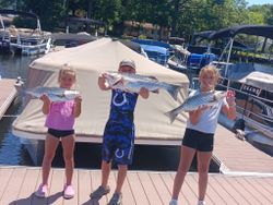 Three striped bass caught while fishing in Lexington