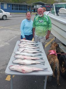 Three big fish caught during fishing in SC