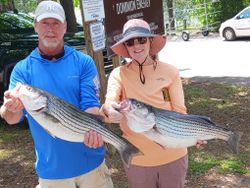 Two big striped bass caught during a fishing trip in SC
