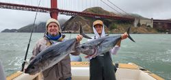 San Fran's Bluefin Bonanza