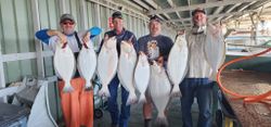 Halibut Hotspot: San Francisco