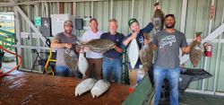 California's Premier Flounder Expeditions
