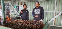 San Fran Fishing Escapades