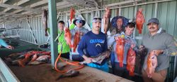 Rockfish Quest in California