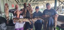 California Fishing: Lingcod Beauties Await