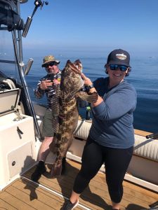 Lingcod Legends in California Waters