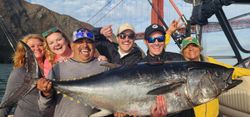 San Fran's Tuna Delight