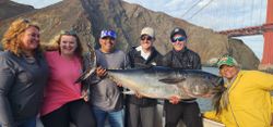 Discover Bluefin Tuna Magic