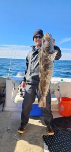 Hook Lingcod Magic in California