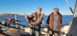 San Fran's Sturgeon Spectacle