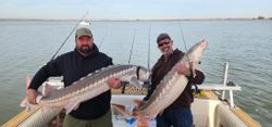 Sturgeon Adventures in SF