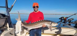 Sturgeon Wonders Await You