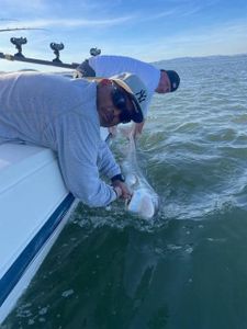 California's Fishing Expedition Gem