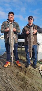 Hook the Best Sturgeon