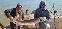 A fisherman with a large white sturgeon caught in Richmond