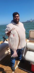 California flounder caught fishing in Richmond CA waters