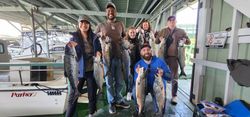 7 Chinook salmon caught during fishing trip in CA