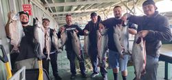 Eight rainbow trout caught while fishing in CA
