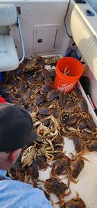 Fisherman's paradise in Richmond
