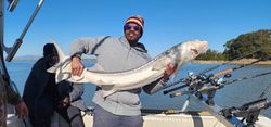 One big fish caught in CA while fishing