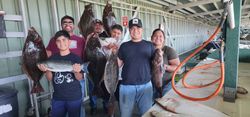 Successful fishing trip in Richmond CA showing multiple California Flounder and Lingcod catches displayed at cleaning station