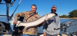 Photo of a 34-inch white sturgeon caught fishing in CA