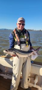 Photo of a white sturgeon fish caught in Richmond, Virginia