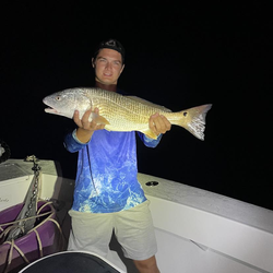 Redfish caught in Hobe Sound