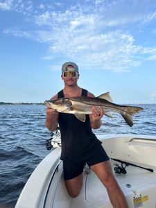 Snook fish caught while fishing in FL