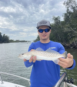 Spotted Weakfish caught while fishing in Hobe Sound
